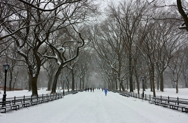 Central Park NYC while its snowing 