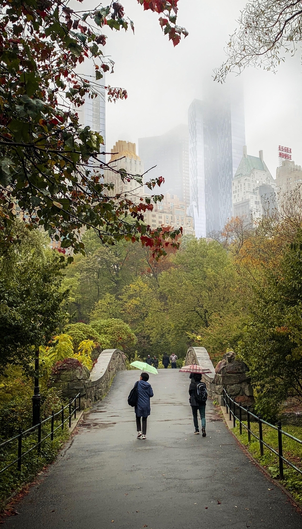 Central Park views during rain fall