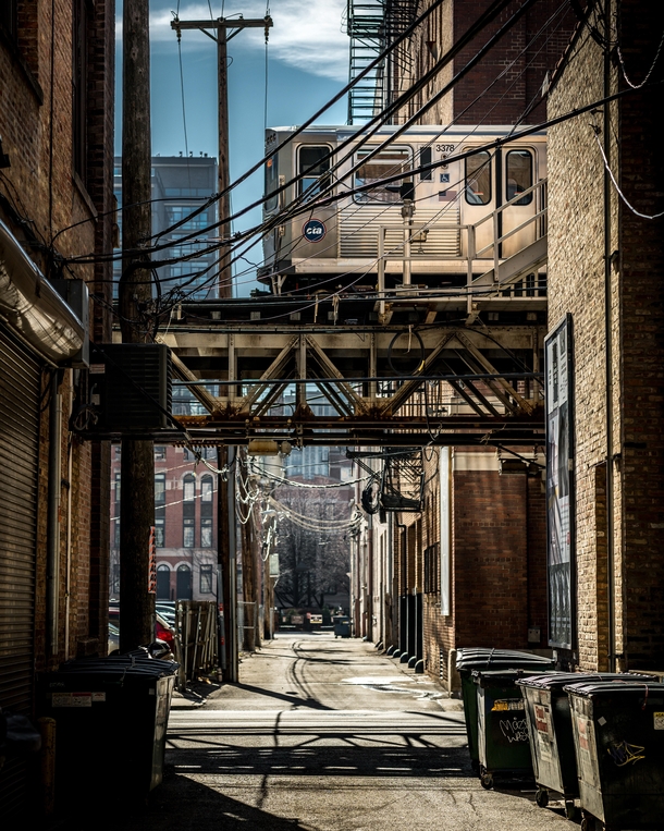 Chicagos back alleys are the best on earth