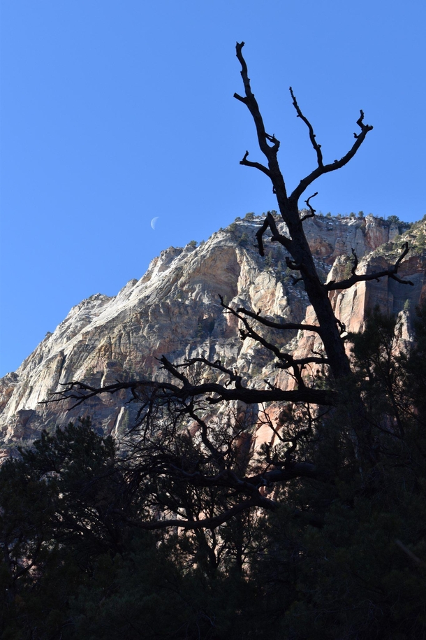 Chilly morning in Zion National Park 