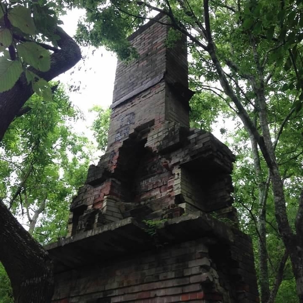 Chimney found wandering in the woods