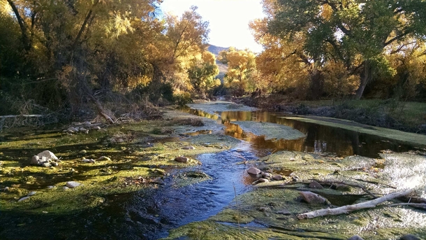 Cibolo Creek Shafter TX near Big Bend 