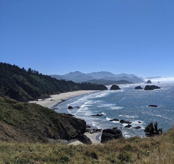 Clear skies where the forest meets the sea Oregon coast OC 
