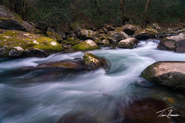 Clear waters in Great Smoky Mountains National Park 