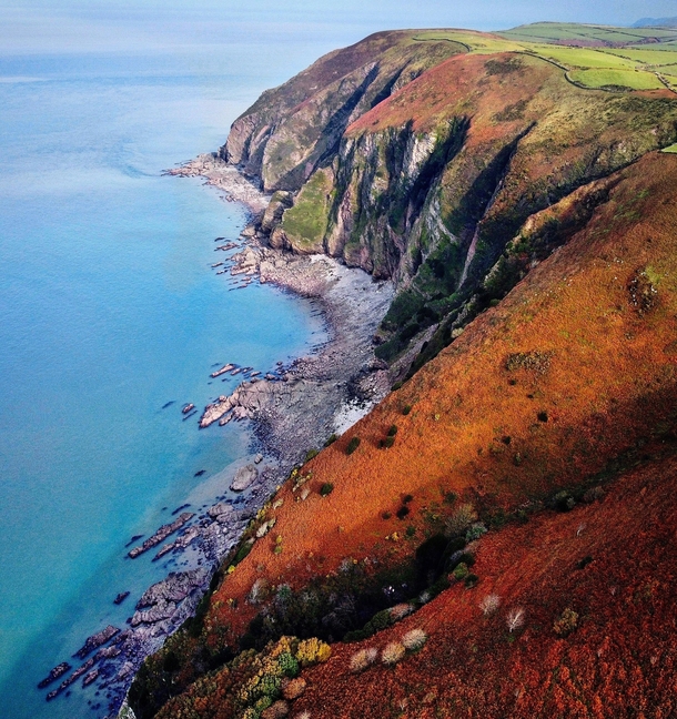 Cliffs of Cornwall in Autumn 