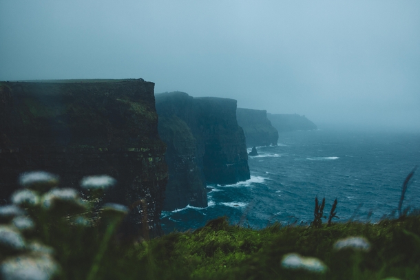 Cliffs of Moher Ireland  x 