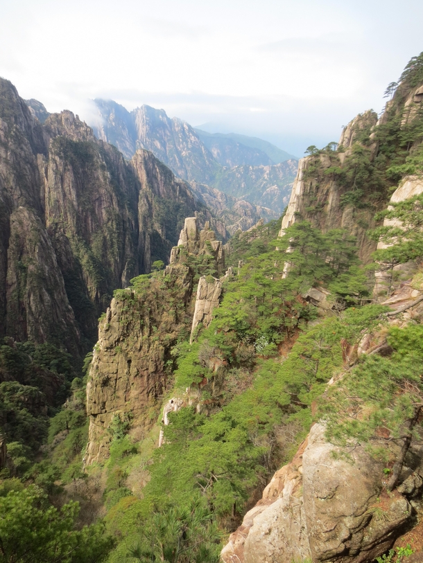 Cliffs of Mt Huangshan China ireddit