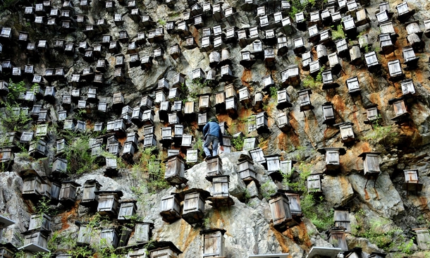 Cliffside apiculture beekeeping in China 