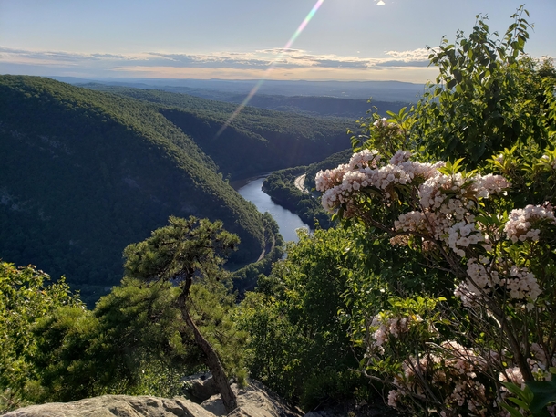 Climbed off the edge of a cliff to get this photo from Mount Tammany in the Delaware Water Gap 