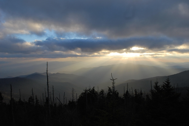 Clingmans Dome Great Smokey Mountains National Park OC