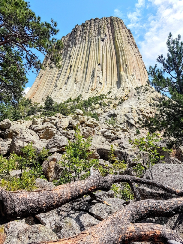 Close up of Devils Tower National Monument WY US 