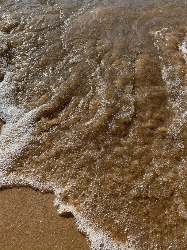 Close Up Of Rolling Tide Jamestown Virginia 