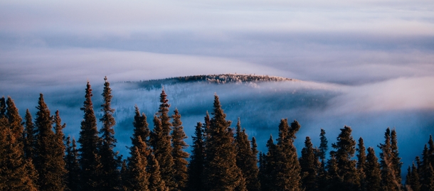 Cloud inversion in the Tanana Valley  IG forrest_mccrea