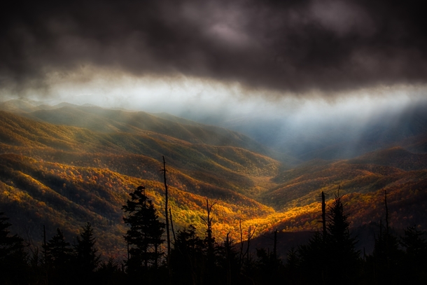 Clouds at Clingmans Dome by Richard Barrow 