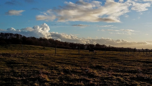 Clouds over a lonely horse in the long winter sun Near Hillerd Denmark OC
