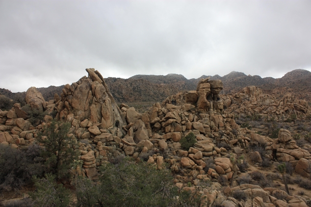 Cloudy day in Joshua Tree National Park 