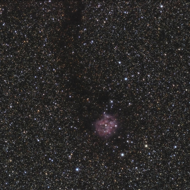 Cocoon Nebula from my Driveway 