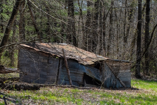 collapsing shack in a field