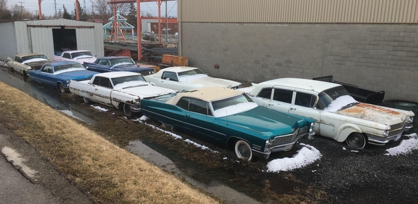 Collection of Cadillacs left to rot