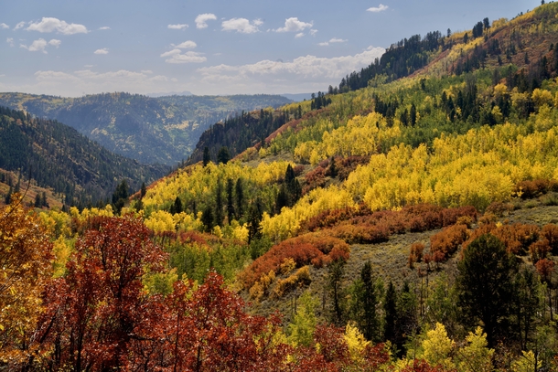 Colorado is wondering if youre tired of fall color posts yet OC 