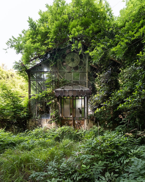 Colorful abandoned greenhouse Almost fully overgrown 