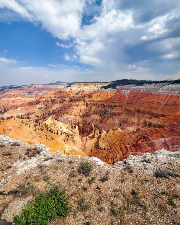 Colorful landscape at Cedar Breaks National Monument Utah USA - OC - x