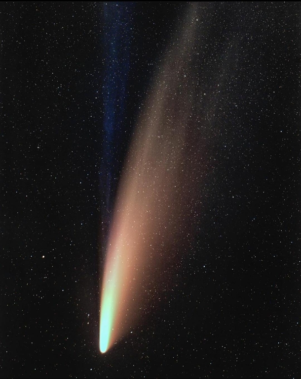 Comet C F NEOWISE Credit transient_astro