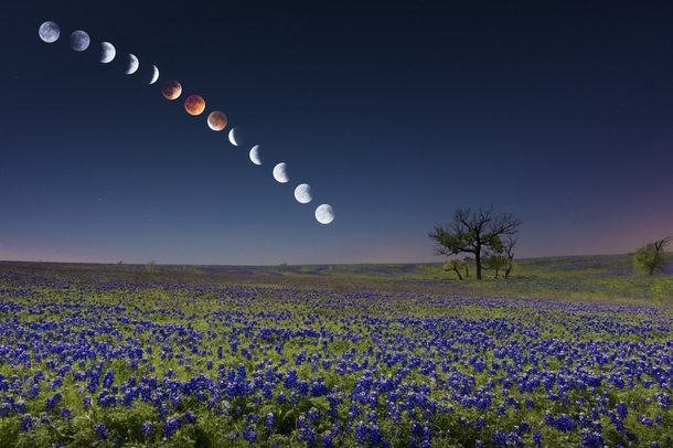 Composite of Blood Moon Texas  by Mike Menzeul