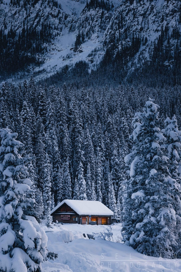 Cosy Cabin in Banff National Park Canada 