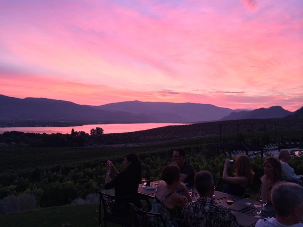Cotton candy sunset in the Okanagan