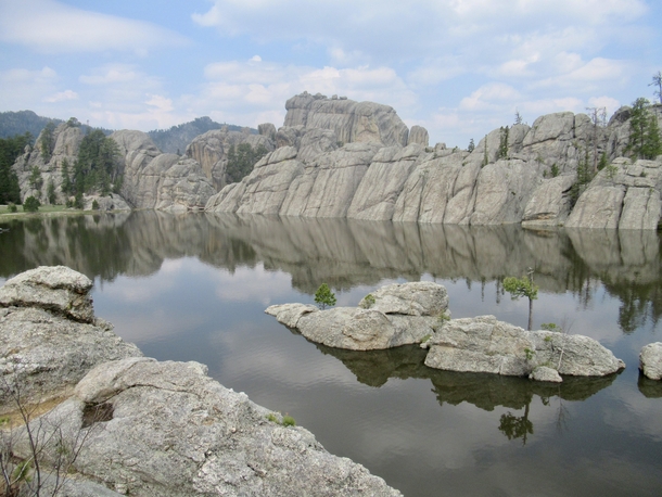 COVID- postponing my road trip out west has me reminiscing of a better time I had out at Custer State Park South Dakota 