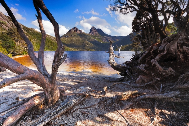Cradle Mountain with blue sky behind it Tasmania Australia by Steve Arnold 
