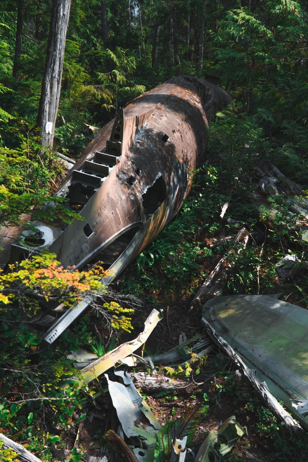 Crashed WWII era RCAF C- in the woods