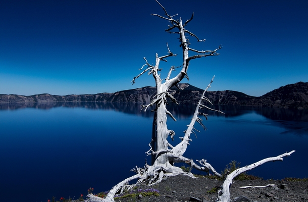 Crater Lake from Wizard Island 