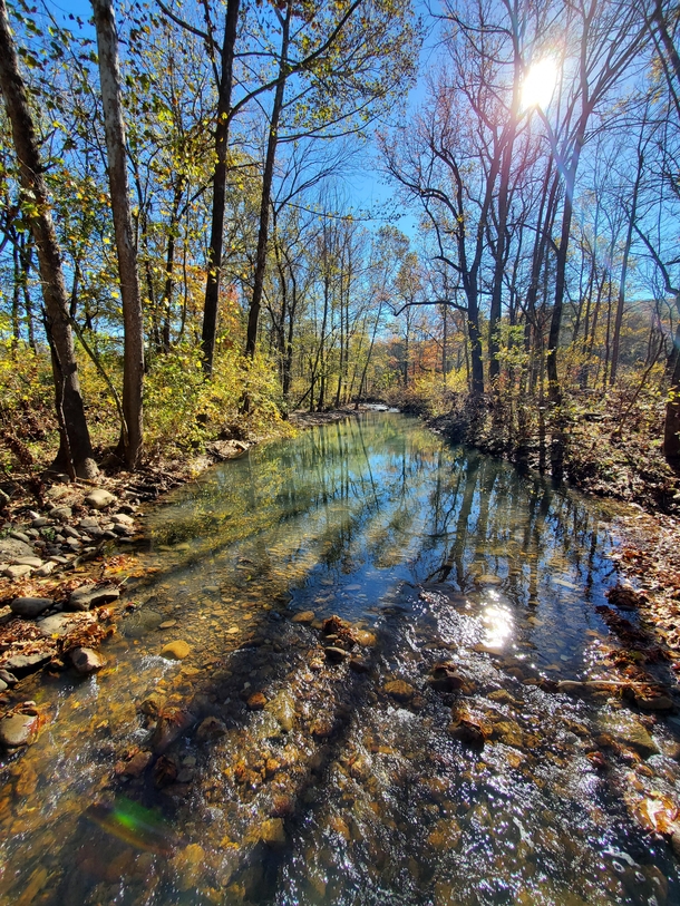 Creek bed in Osage Arkansas 