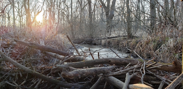 Creek in Ellsworth IL  x