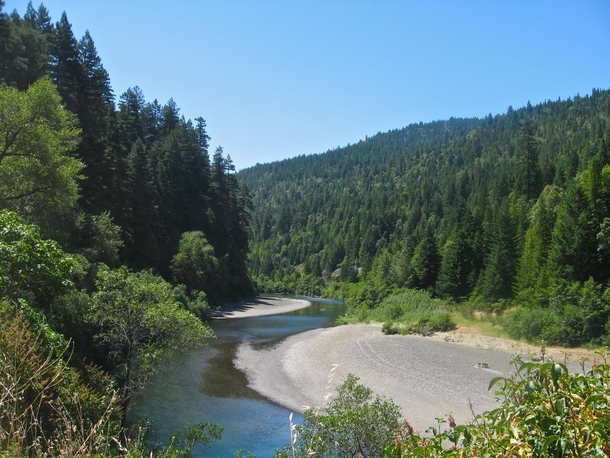 Creek meandering through the Redwoods- Northern California 