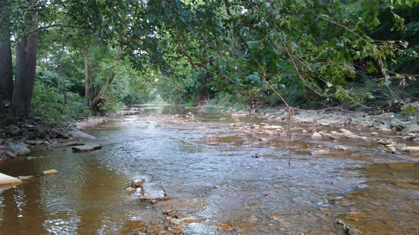 Creek near Bellaire Ohio 