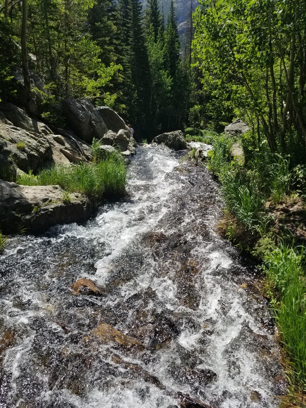 Creek up in the Rockies Colorado x