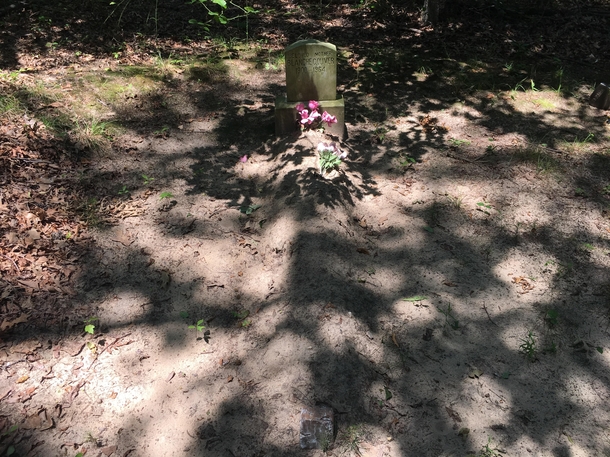 Creepy abandoned cemetery thought lost in thick woods OC  about  graves have more pics