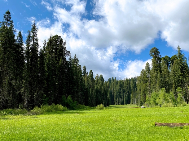 crescent meadow - the gem of the sierra - sequoia national park 