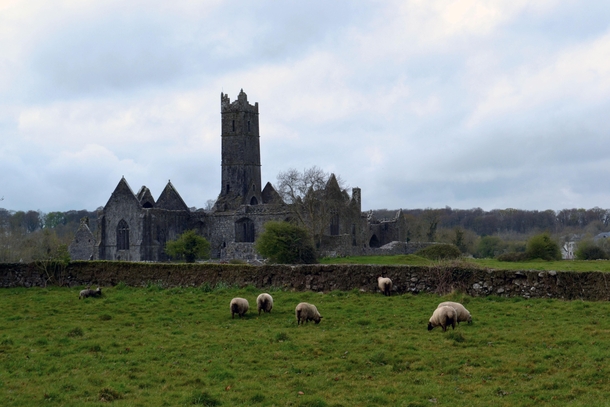 Crumbling abbey in Quin Ireland 