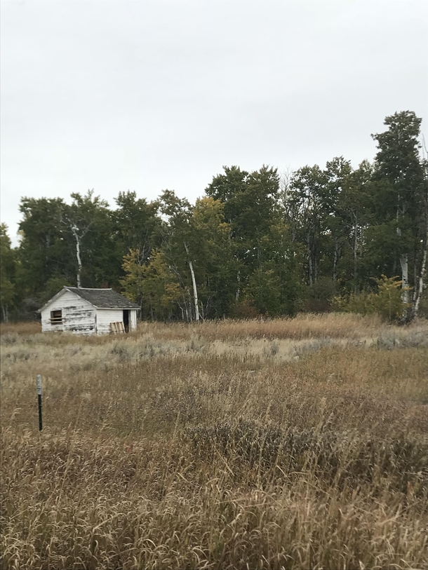 Crumbling shack in Banner Wyoming
