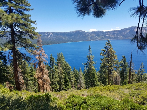 Crystal Bay Trail Lake Tahoe CA 