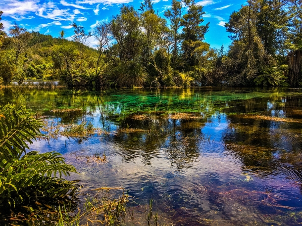 Crystal Clear Spring in New Zealand 