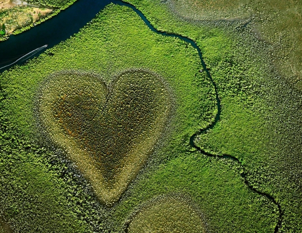 Cur de Voh a naturally formed heart in the mangroves of New Caledonia South Pacific - 