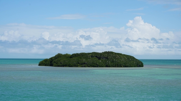 Cutest island in the Florida Keys USA 