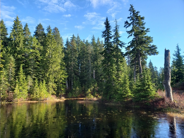 Cypress British Columbia 