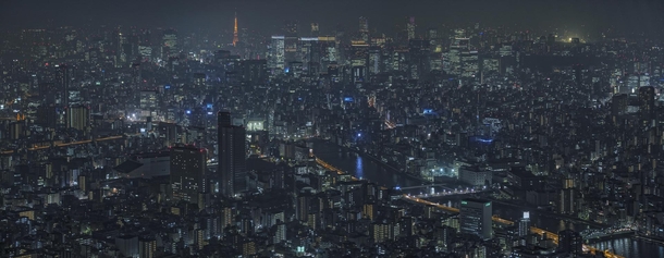 Dark Tokyo Cityscape 