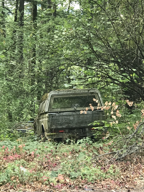 Datsun on side of road in Washington